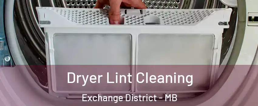  Dryer Lint Cleaning Exchange District - MB