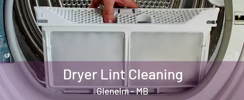  Dryer Lint Cleaning Glenelm - MB