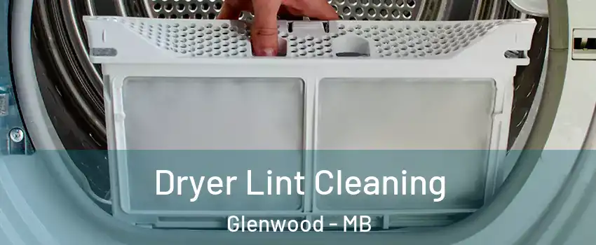  Dryer Lint Cleaning Glenwood - MB
