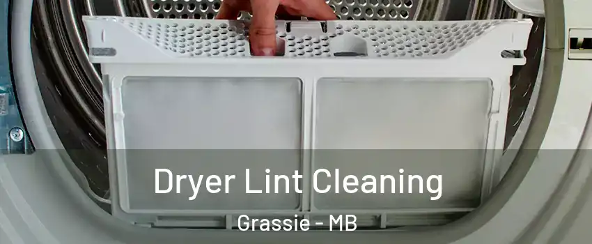  Dryer Lint Cleaning Grassie - MB