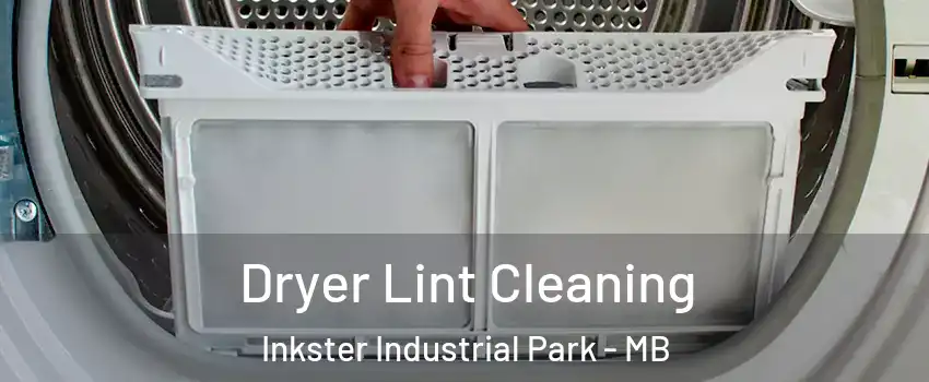  Dryer Lint Cleaning Inkster Industrial Park - MB