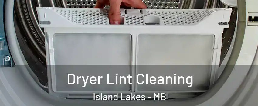  Dryer Lint Cleaning Island Lakes - MB