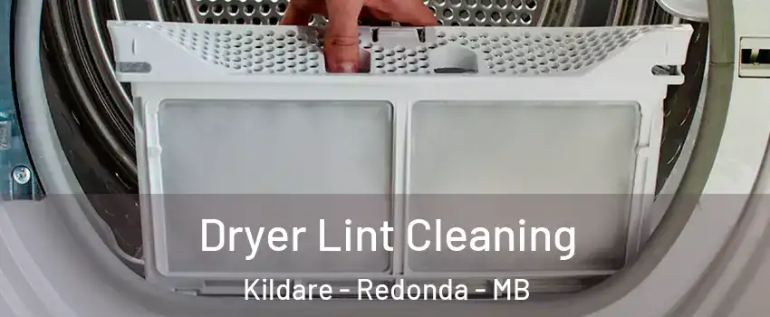  Dryer Lint Cleaning Kildare - Redonda - MB