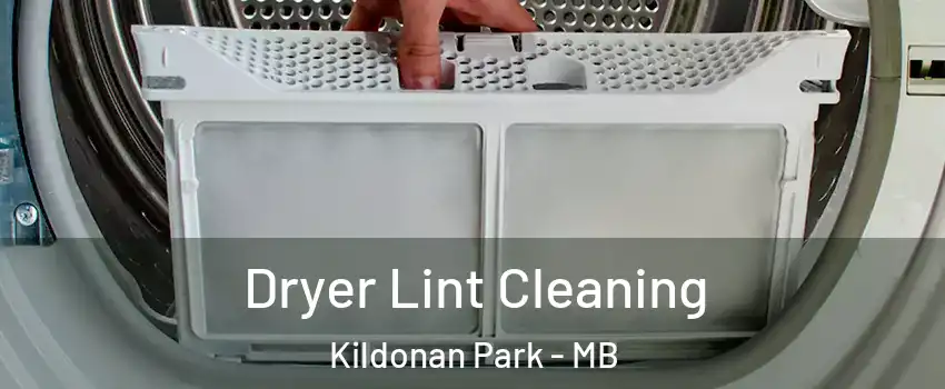  Dryer Lint Cleaning Kildonan Park - MB