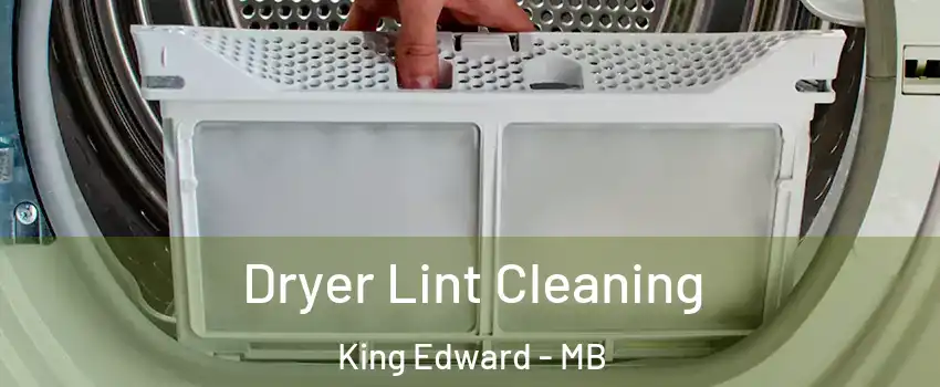  Dryer Lint Cleaning King Edward - MB