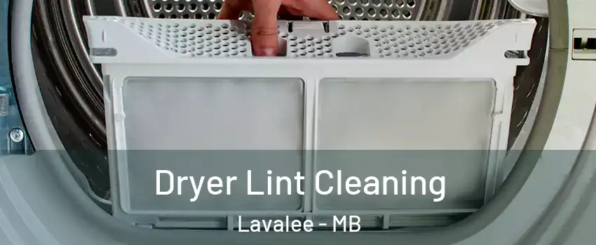  Dryer Lint Cleaning Lavalee - MB
