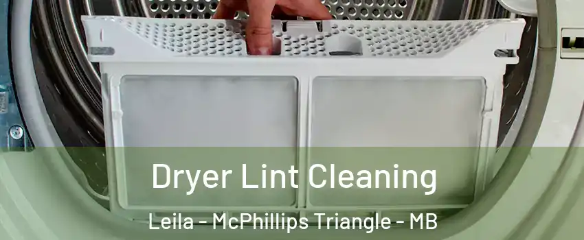  Dryer Lint Cleaning Leila - McPhillips Triangle - MB