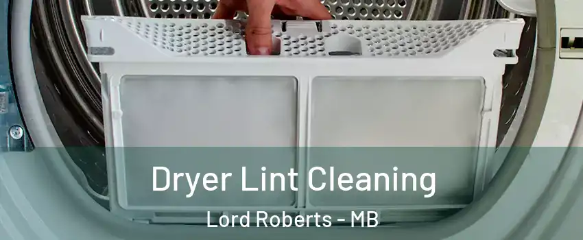 Dryer Lint Cleaning Lord Roberts - MB