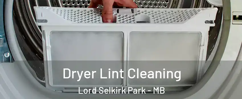  Dryer Lint Cleaning Lord Selkirk Park - MB