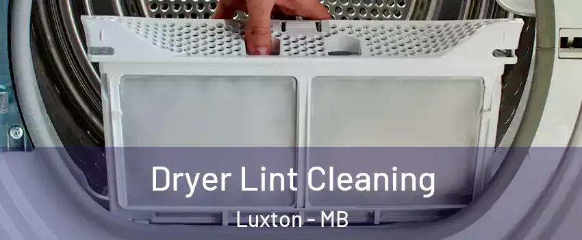  Dryer Lint Cleaning Luxton - MB