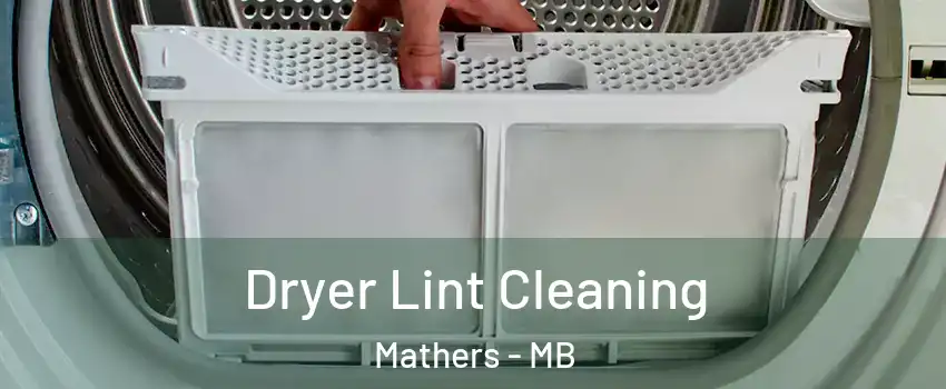  Dryer Lint Cleaning Mathers - MB
