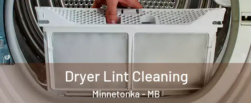  Dryer Lint Cleaning Minnetonka - MB