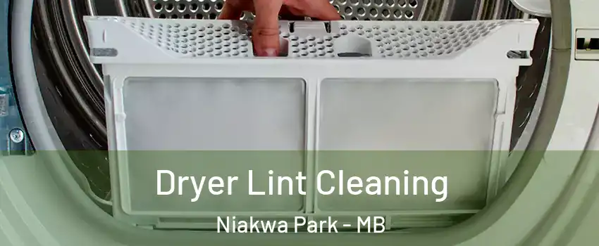  Dryer Lint Cleaning Niakwa Park - MB