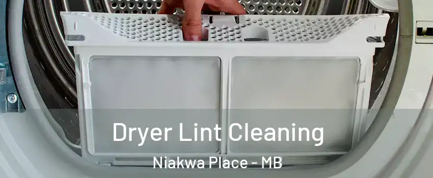  Dryer Lint Cleaning Niakwa Place - MB