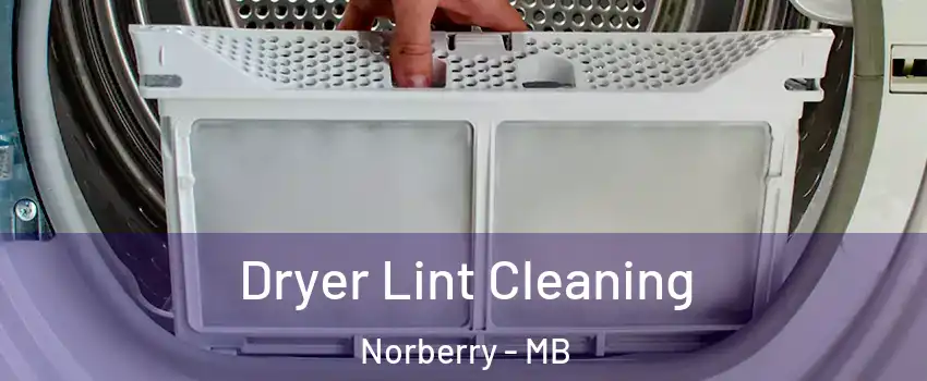  Dryer Lint Cleaning Norberry - MB