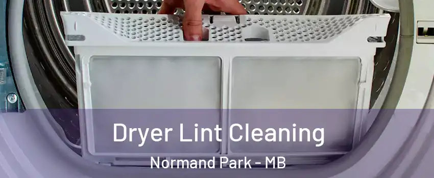  Dryer Lint Cleaning Normand Park - MB