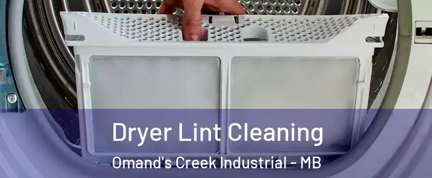  Dryer Lint Cleaning Omand's Creek Industrial - MB