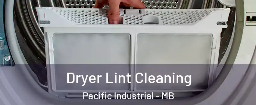  Dryer Lint Cleaning Pacific Industrial - MB