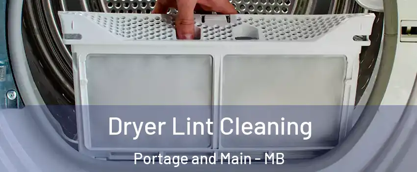  Dryer Lint Cleaning Portage and Main - MB