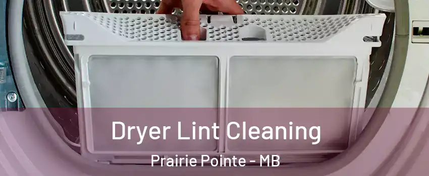  Dryer Lint Cleaning Prairie Pointe - MB