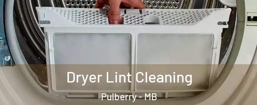  Dryer Lint Cleaning Pulberry - MB
