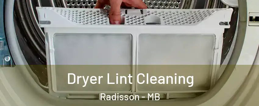  Dryer Lint Cleaning Radisson - MB