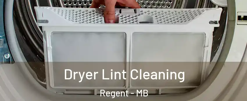 Dryer Lint Cleaning Regent - MB