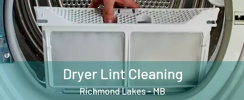  Dryer Lint Cleaning Richmond Lakes - MB