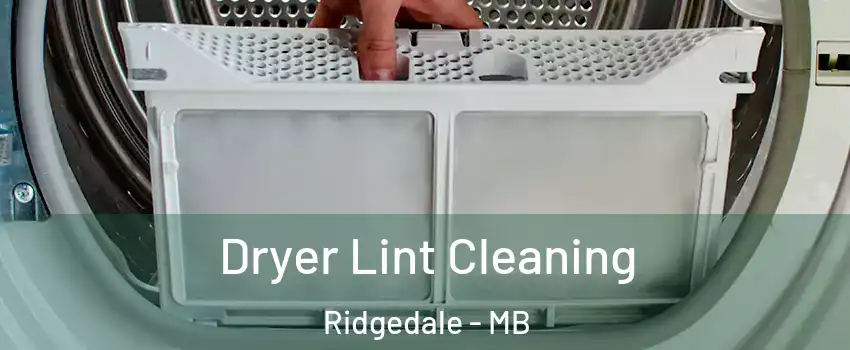  Dryer Lint Cleaning Ridgedale - MB