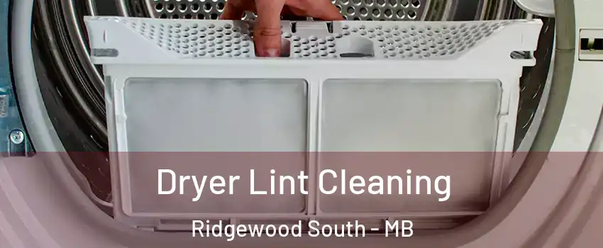  Dryer Lint Cleaning Ridgewood South - MB