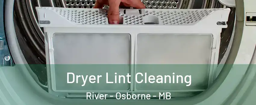  Dryer Lint Cleaning River - Osborne - MB