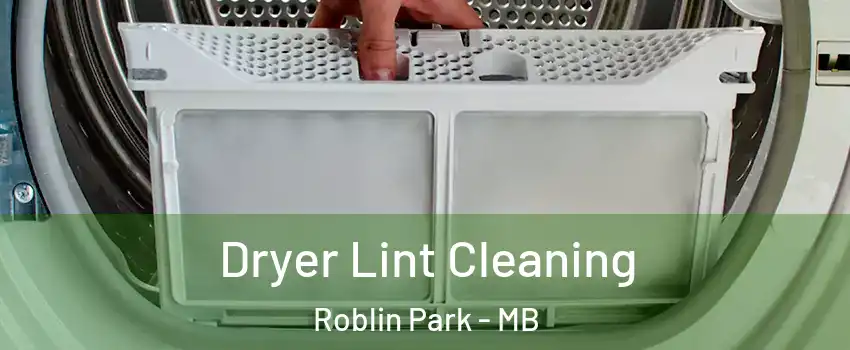  Dryer Lint Cleaning Roblin Park - MB