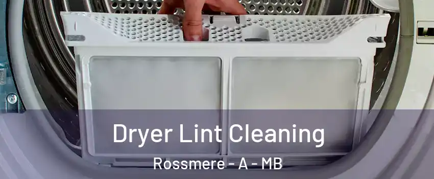  Dryer Lint Cleaning Rossmere - A - MB