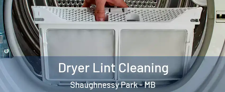  Dryer Lint Cleaning Shaughnessy Park - MB
