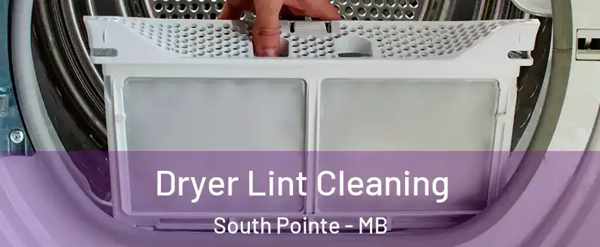  Dryer Lint Cleaning South Pointe - MB