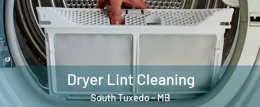  Dryer Lint Cleaning South Tuxedo - MB