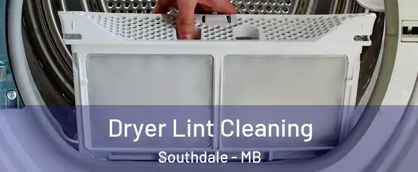  Dryer Lint Cleaning Southdale - MB