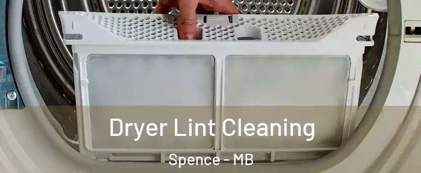  Dryer Lint Cleaning Spence - MB