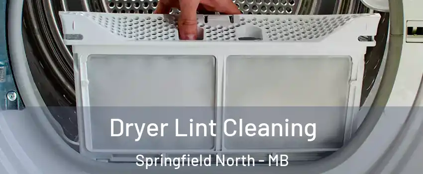  Dryer Lint Cleaning Springfield North - MB
