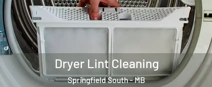  Dryer Lint Cleaning Springfield South - MB