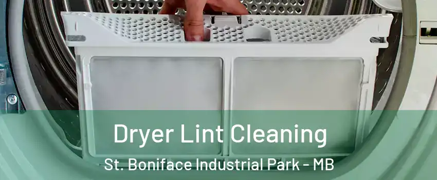  Dryer Lint Cleaning St. Boniface Industrial Park - MB