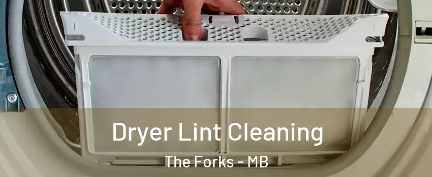  Dryer Lint Cleaning The Forks - MB