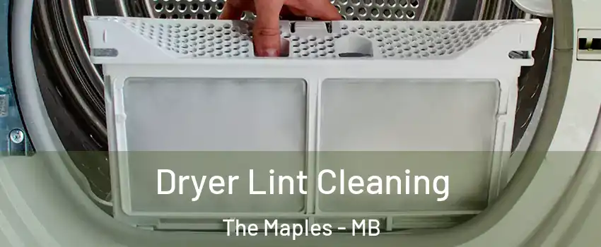  Dryer Lint Cleaning The Maples - MB