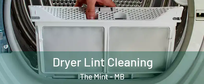  Dryer Lint Cleaning The Mint - MB