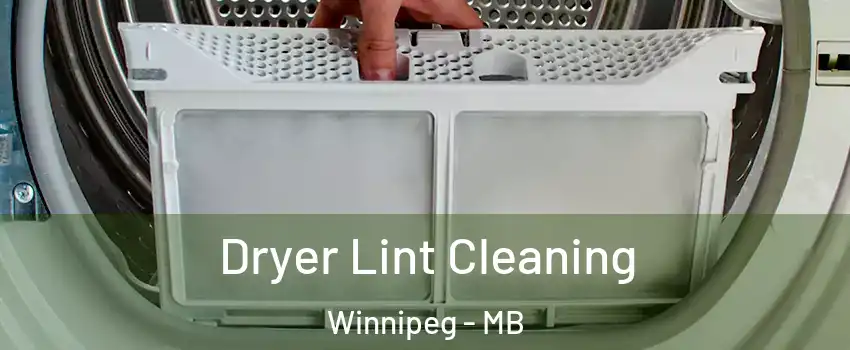  Dryer Lint Cleaning Winnipeg - MB