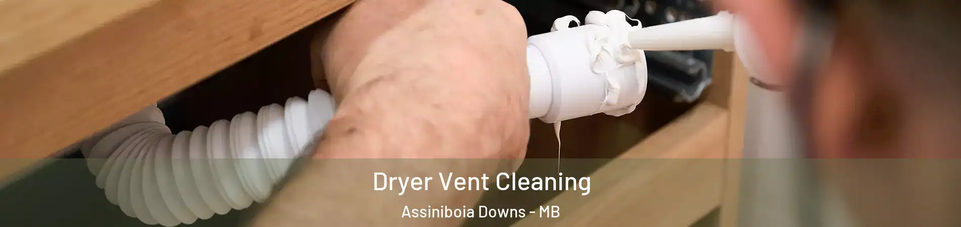 Dryer Vent Cleaning Assiniboia Downs - MB