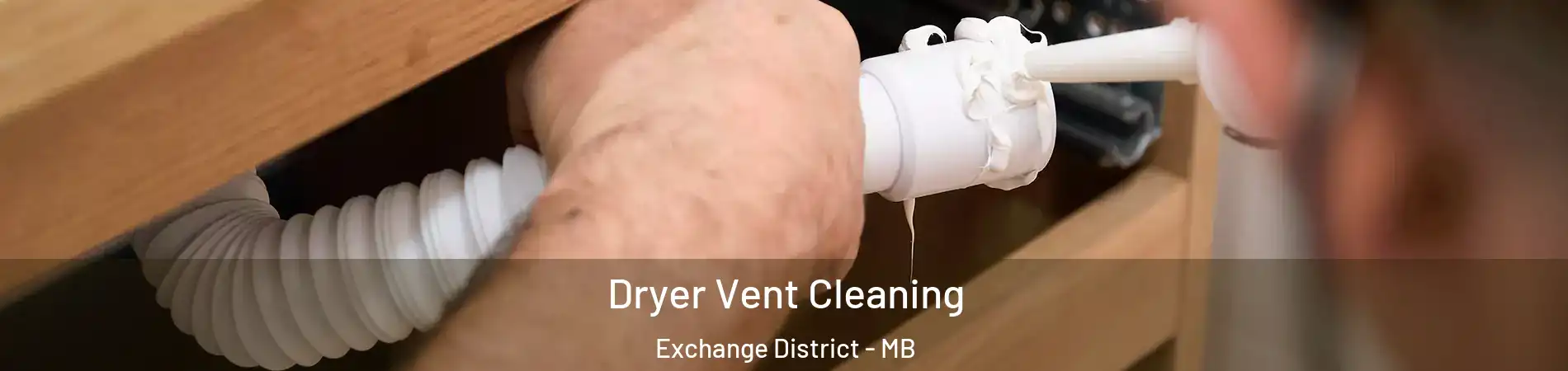  Dryer Vent Cleaning Exchange District - MB