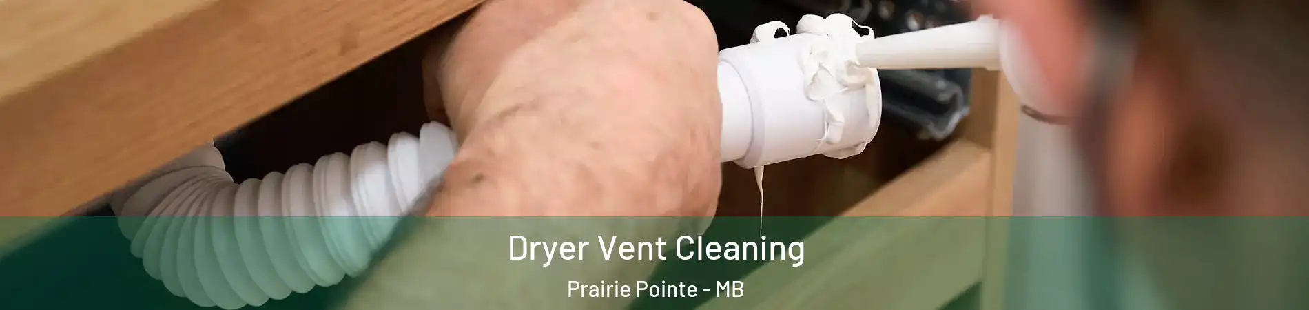  Dryer Vent Cleaning Prairie Pointe - MB