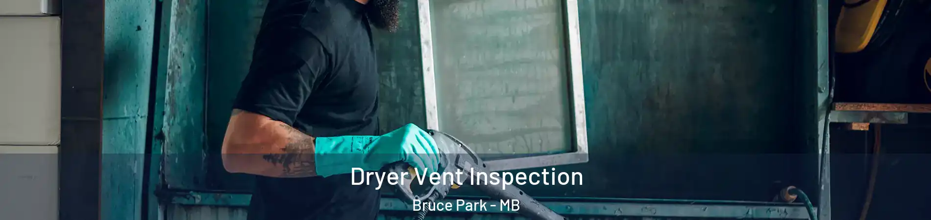  Dryer Vent Inspection Bruce Park - MB