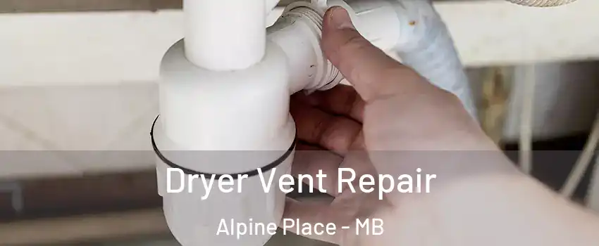  Dryer Vent Repair Alpine Place - MB